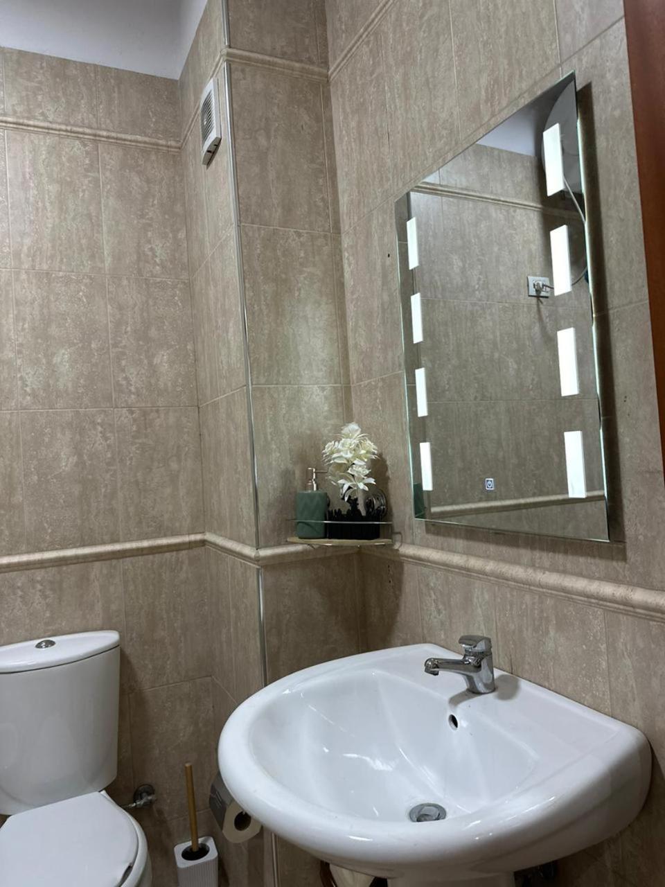 Apartment Turdiu New *